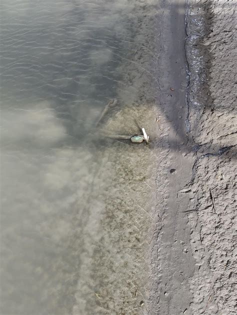 Guess what I found in the Jordan River : r/Utah