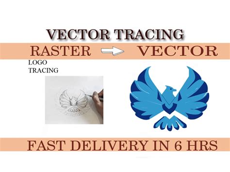 Image result for Vectorize
