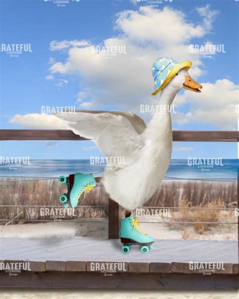 Roller Skating 的图像结果