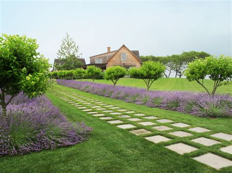 landscape yard pictures