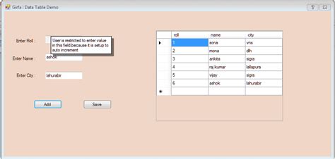 Visual Basic DataTable 的图像结果
