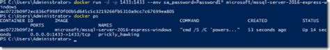 Image result for Running SQL Express On Container