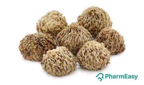 Akarkara(Pellitory): Benefits, Uses, Side Effects & More | PharmEasy