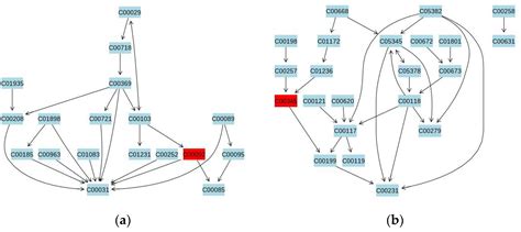 Differential Metabolites and Metabolic Pathways Involved in Aerobic ...