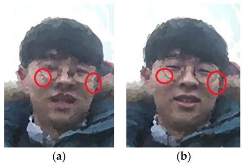 Facial Feature Model for a Portrait Video Stylization