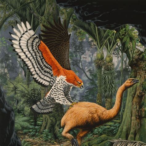 Extinct Bird Of New Zealand Crossword - prntbl.concejomunicipaldechinu ...