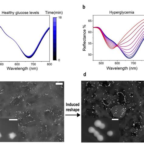 Image result for Diffuse Reflectance Spectroscopy