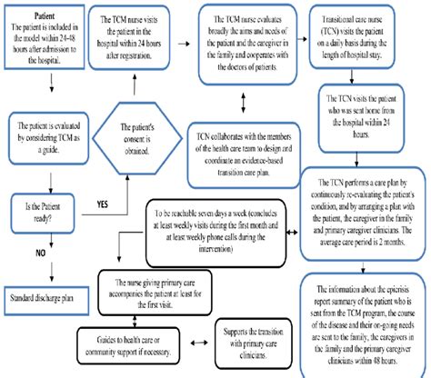Image result for Transitional Care Clinic Model
