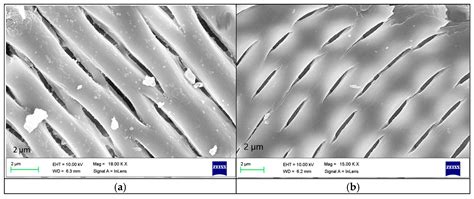 Recent Progress of Low Dielectric and High-Performance Polybenzoxazine ...