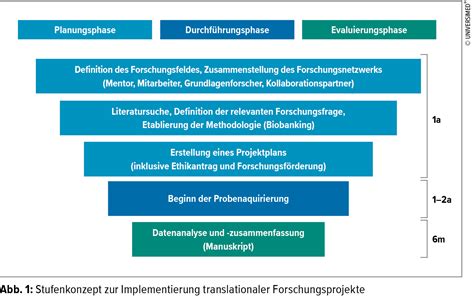 Interventionelle Radiologie beim primären Leberzellkarzinom - Onkologie ...
