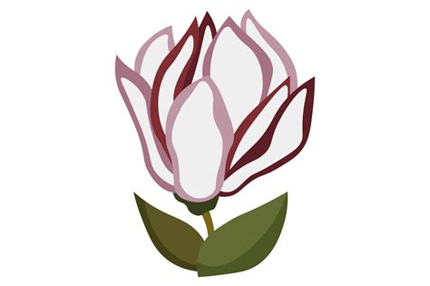 Mississippi State Flower - Magnolia SVG Cut file by Creative Fabrica ...