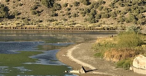 Geographic Features 的图像结果