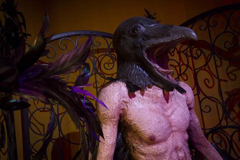 Half Human Half Bird