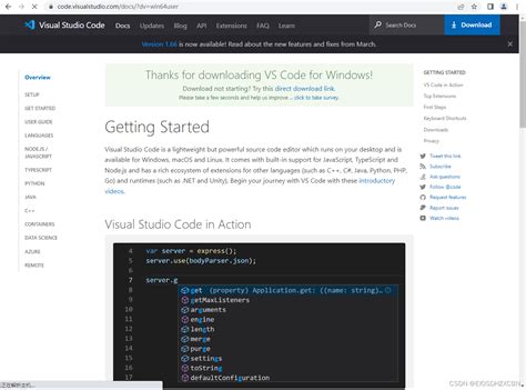 vs Code Downloader 的图像结果