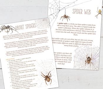 Image result for Science Lab Report On Spider