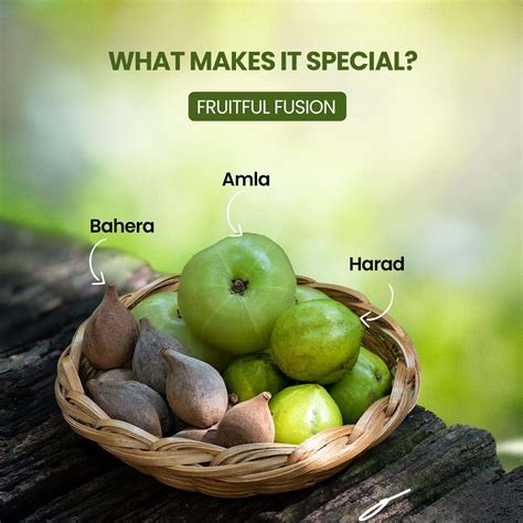 Buy HIMALAYAN ORGANICS ORGANIC TRIPHALA POWDER | SUPPORTS DIGESTION ...