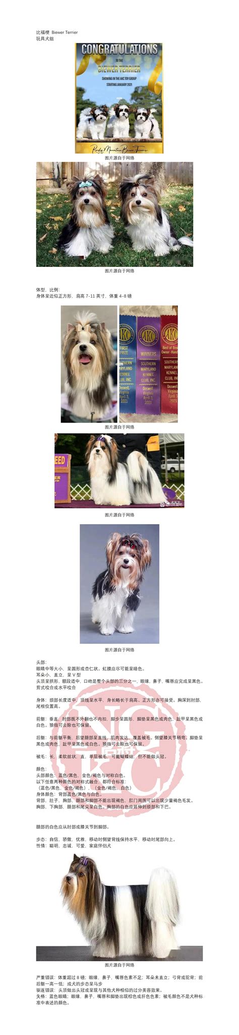 犬业广告图片免费下载_犬业广告素材_犬业广告模板-图行天下素材网