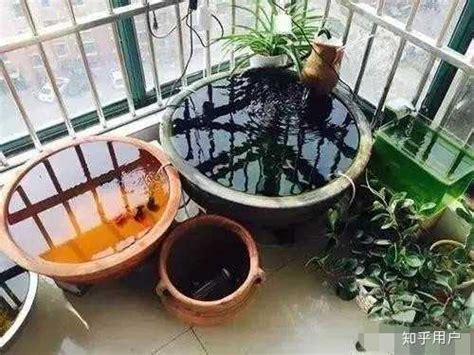 旧大水缸养什么植物好,大水缸适合养什么绿植,大水缸适合养什么花_大山谷图库