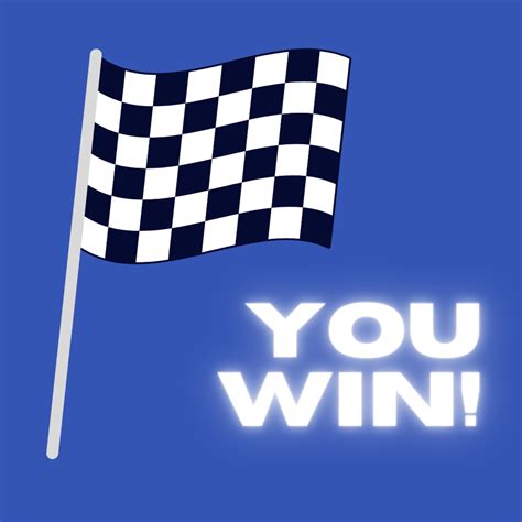 Race Car Flags: What Do the Colors Mean? - HubPages