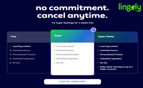 Image result for Super Duolingo Promo Code