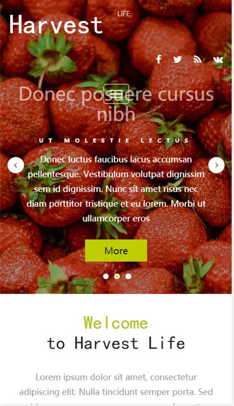 Harvest水果销售展示网站自适应响应式农业网站模板免费下载_懒人模板
