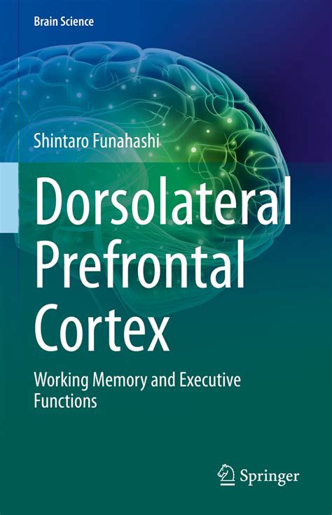 Image result for Dorsolateral Prefrontal Cortex