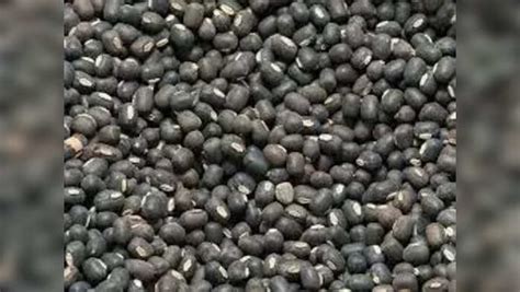 Black Urad Dal Nutritions,கருப்பு உளுந்தை அதிகமாக சாப்பிட்டா உடம்பில் ...