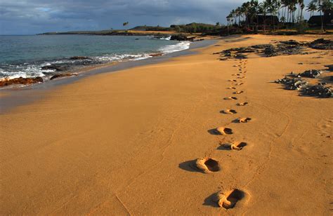 How to Get Around Hawaii | Discount Hawaii Car Rental