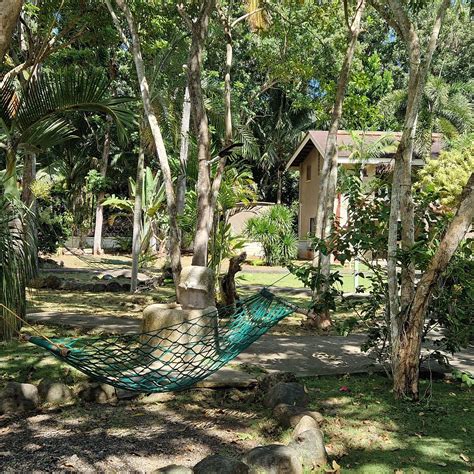 ALONALAND RESORT (Panglao Island, Bohol Province) - Ranch Reviews ...