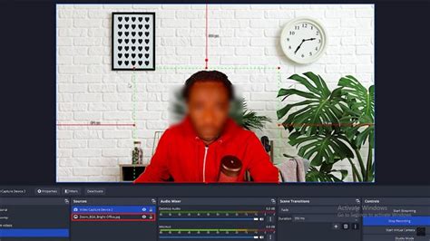 How to Set Up and Use OBS Green Screen?