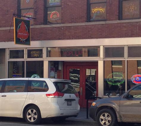 Image result for Walnut Tree