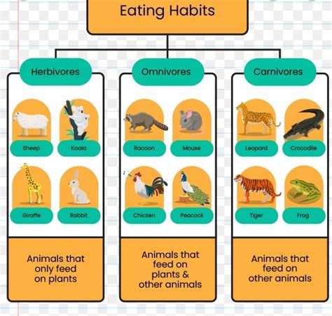 Make a list of 10 animals that you see around you. Find out about their ...