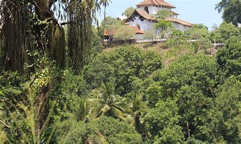 Handessa Tourism (2022): Best of Handessa, Sri Lanka - Tripadvisor