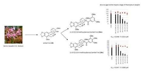 Derivatives of Amaryllidaceae Alkaloid Ambelline as Selective ...