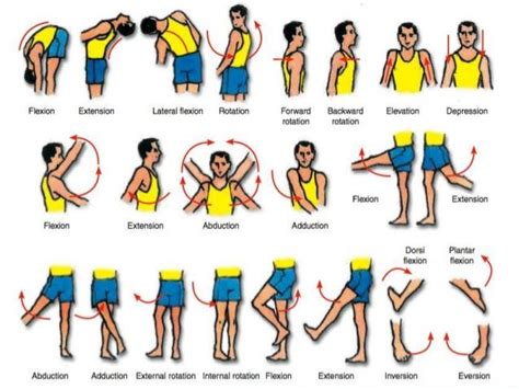 Image result for Body Movements Chart