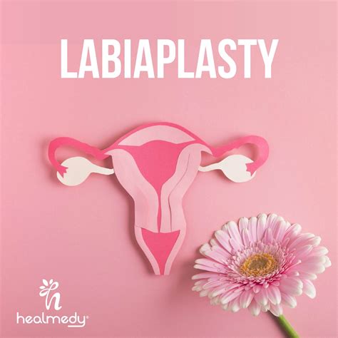 Labia Definition In Spanish at Isaac Macquarie blog