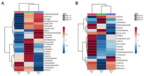 Nusinersen Induces Disease-Severity-Specific Neurometabolic Effects in ...