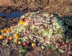 Image result for waste product