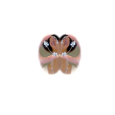 2pcs Butterfly Tassel Zircon Earrings Butterfly Ear Cuffs No Piercing ...