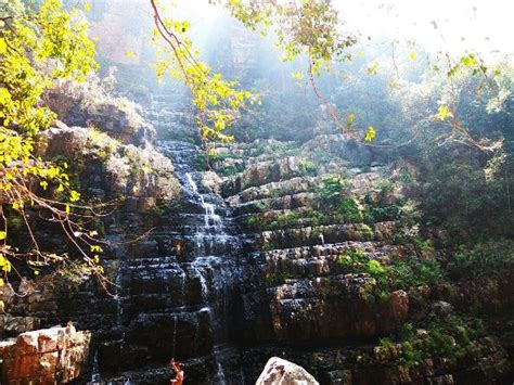 Talakona Waterfall (Tirupati) - 2021 What to Know Before You Go (with ...