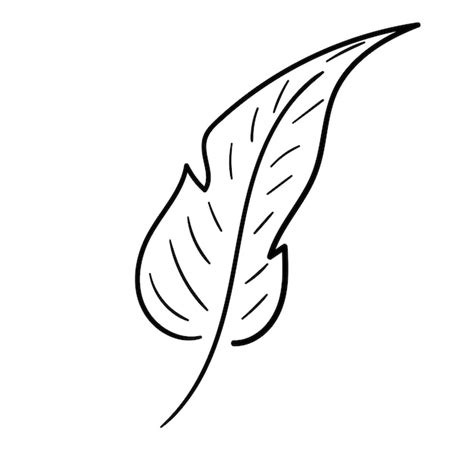 Ręcznie rysowane liść Doodle linia ikona liść palmowy Szkic czarno ...