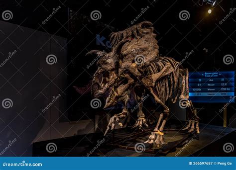 Dinosaurs Revealed - Kosmoceratops Editorial Photo | CartoonDealer.com #266597729