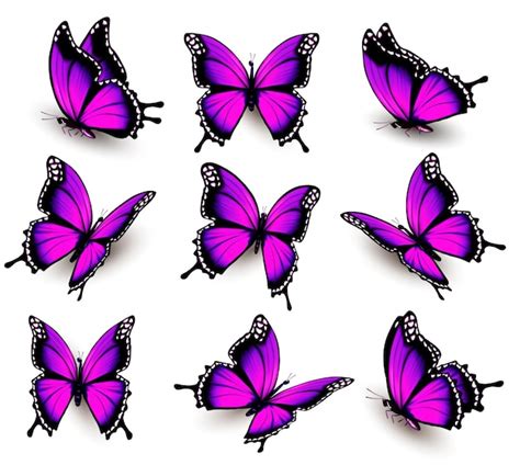 Beautiful of pink butterfly in different positions. vector. | Premium ...