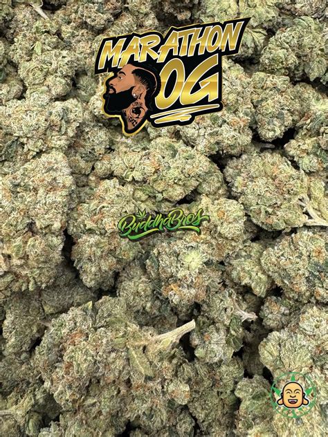 Marathon OG Indica Strain Buy Online at BuddhaBrosLA