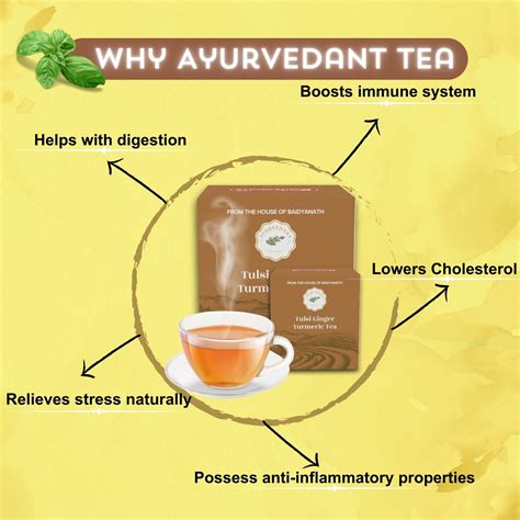 Buy Ayurvedant Tulsi Ginger Turmeric Tea - Products | Baidyanth