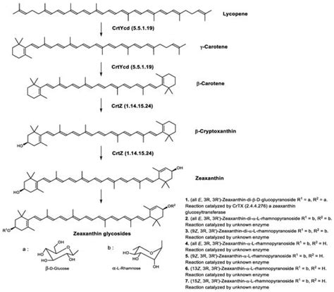 Archaea Carotenoids: Natural Pigments with Unexplored Innovative Potential