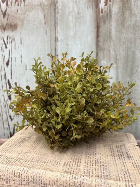 Image result for Shabby Tree Blog Post