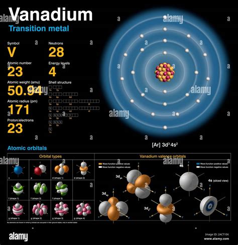 Vanadium (V). Diagram of the nuclear composition, electron ...
