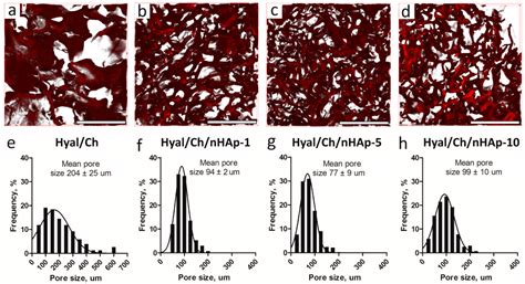 Macroporous Hyaluronic Acid/Chitosan Polyelectrolyte Complex-Based ...