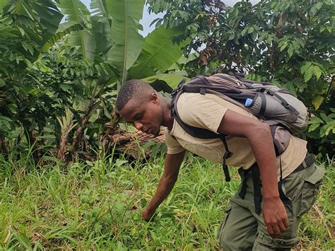 KABENDERA RWANDA HIKE (2025) All You Need to Know BEFORE You Go (with ...